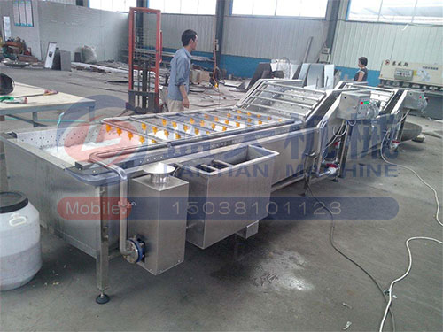 果蔬氣泡清洗機