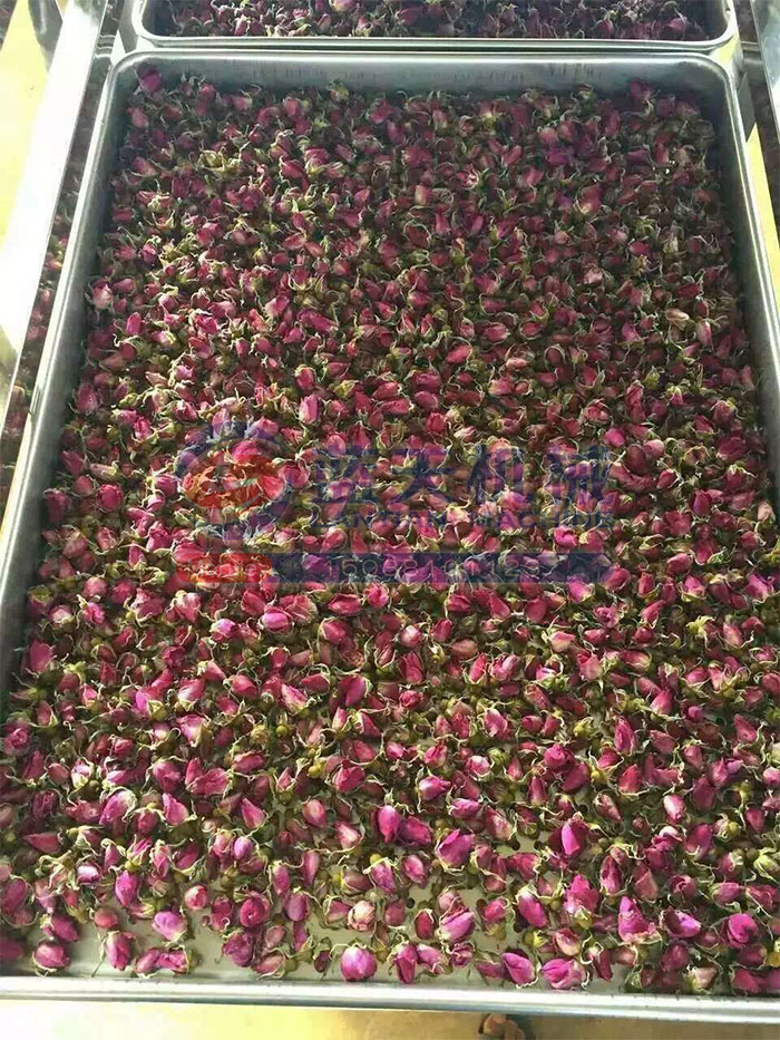 云南玫瑰花烘干機用戶現場